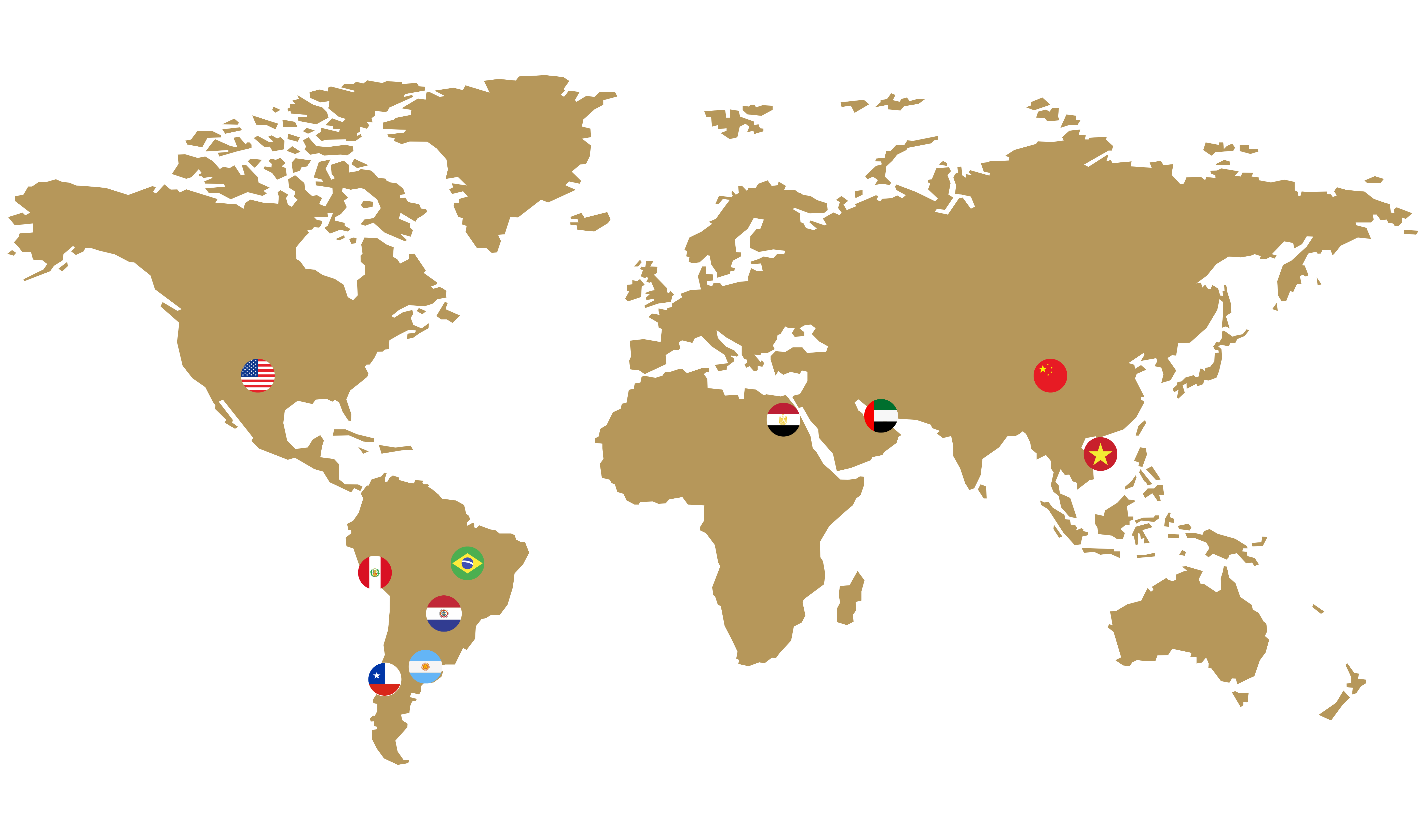 Presença Global Pampafoods