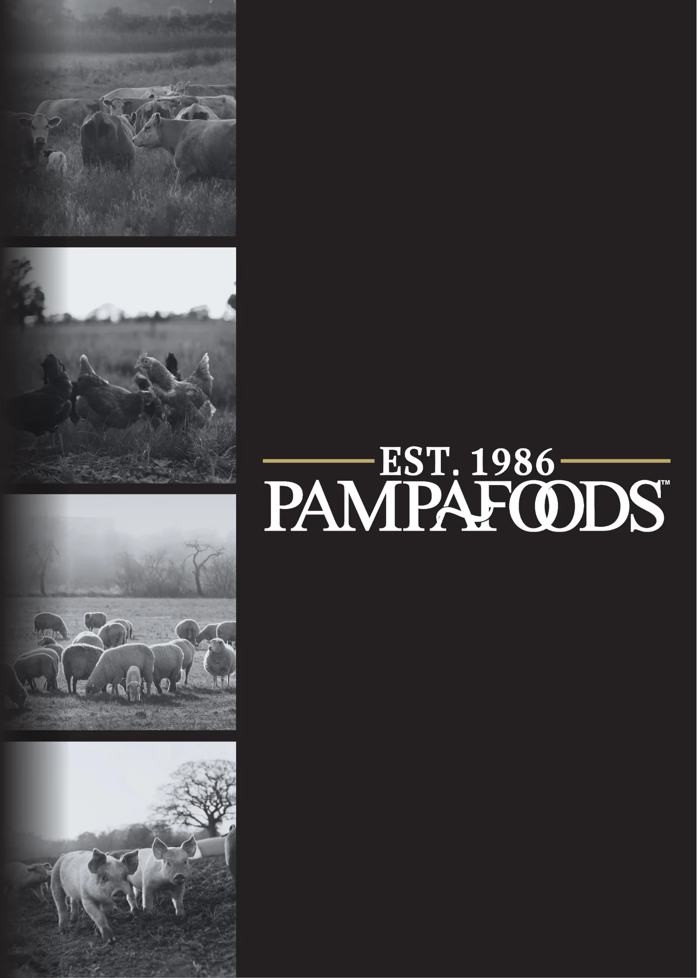 Catálogo PampaFoods, página 1