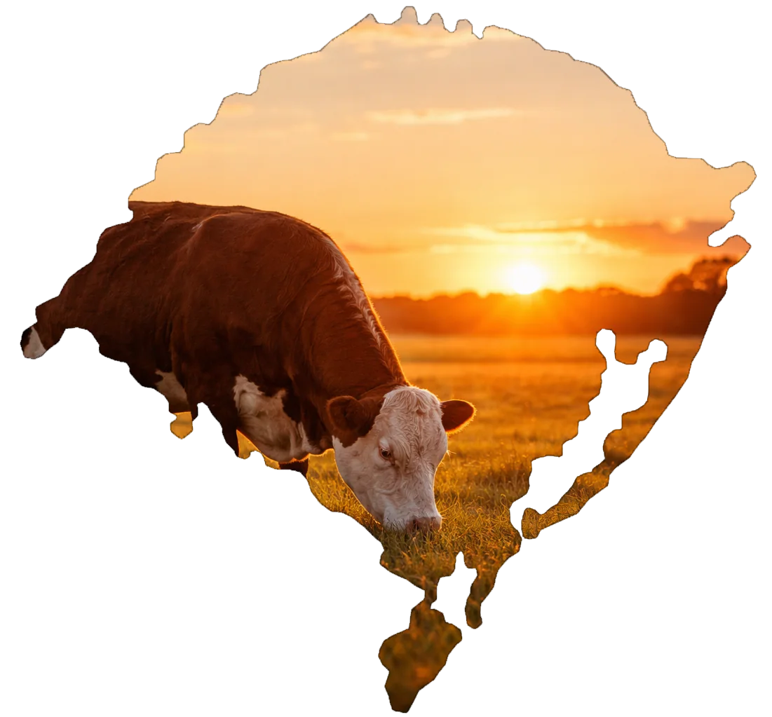 Raízes da PampaFoods na Região Sul do Brasil